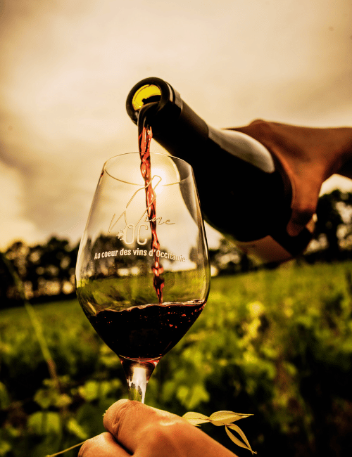 Wine'OC, spécialiste vins d'Occitanie en bio et biodynamie